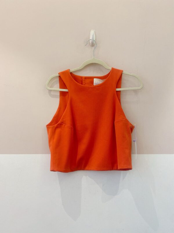 Regata coral A. Niemeyer 38